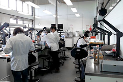 laboratorio