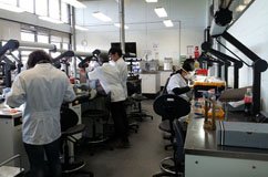 laborat